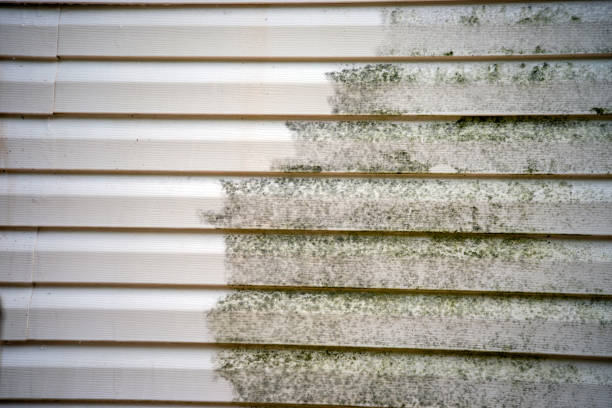 Best Weatherproofing and Sealing  in Abaster, AL