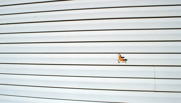 Best Aluminum Siding Installation  in Abaster, AL